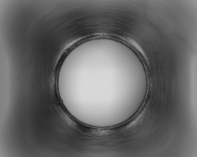 X0000088400831200705220819