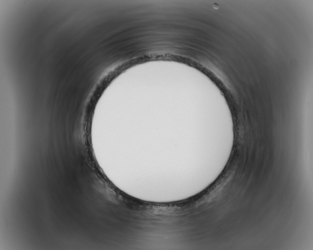 X0000088400832200705220819