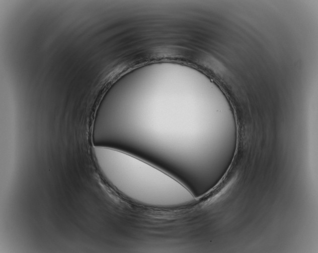 X0000088400833200705220819