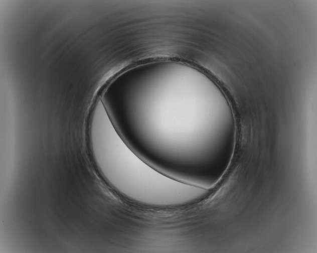 X0000088400834200705220819