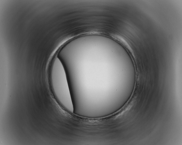 X0000088400835200705220819
