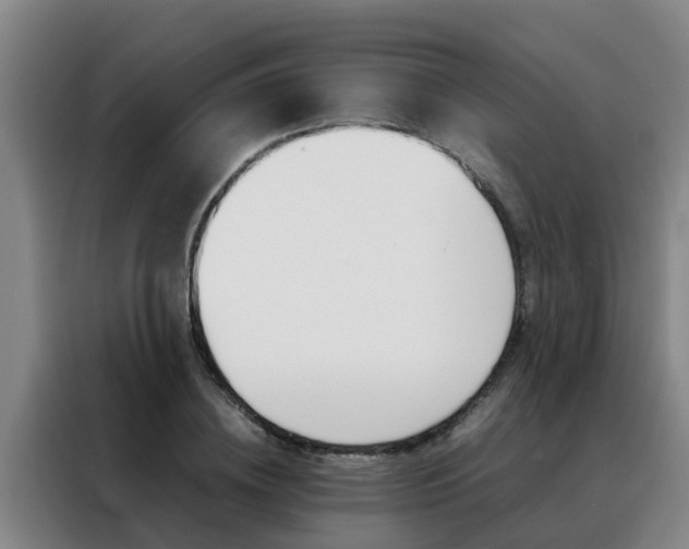X0000088400836200705220819