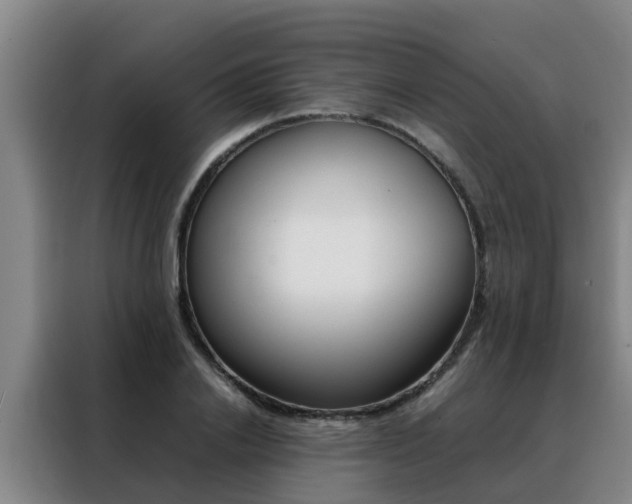 X0000088400838200705220819