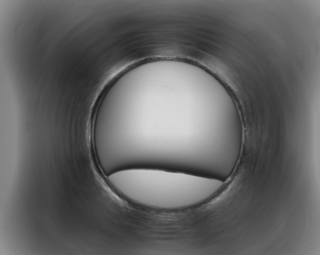 X0000088400839200705220819