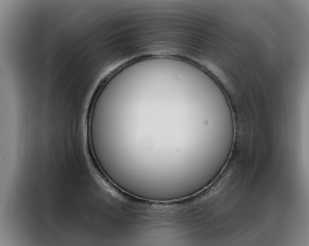 X0000088400840200705220819
