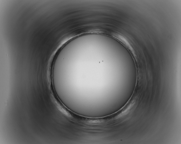 X0000088400843200705220820