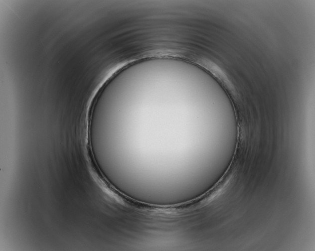 X0000088400844200705220820