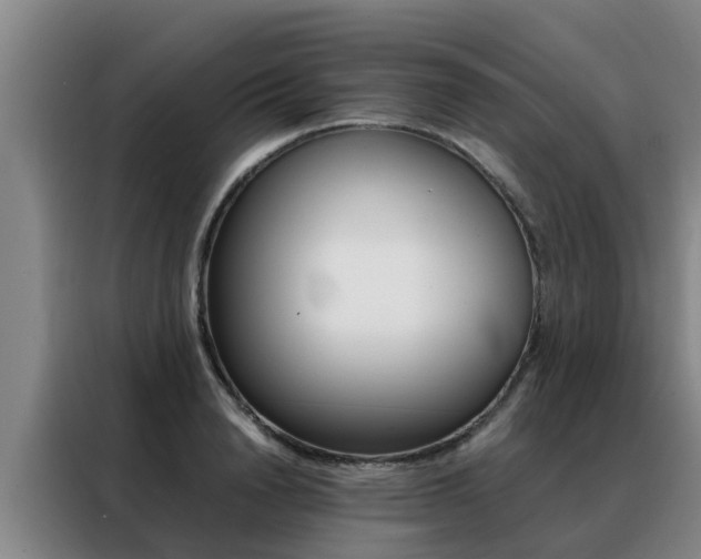 X0000088400846200705220820