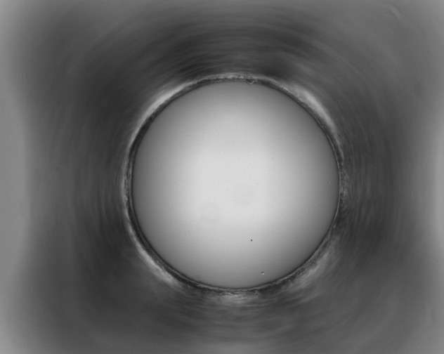 X0000088400847200705220820