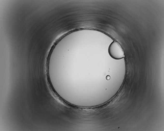 X0000088400848200705220820
