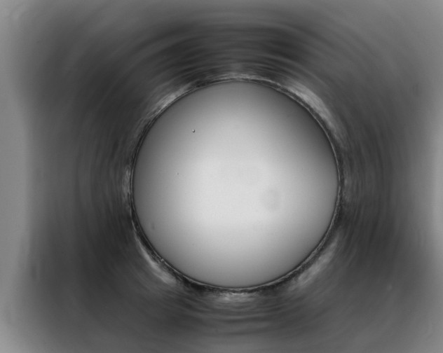 X0000088400849200705220820