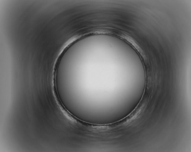 X0000088400853200705220820