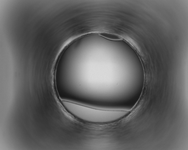 X0000088400854200705220820