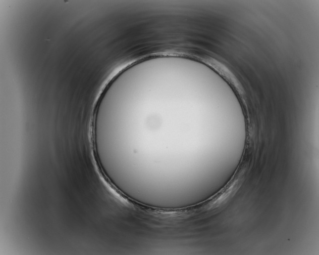 X0000088400855200705220820