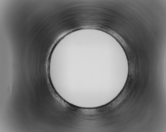 X0000088400856200705220820