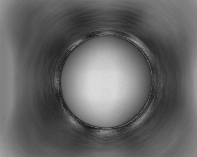 X0000088400857200705220820