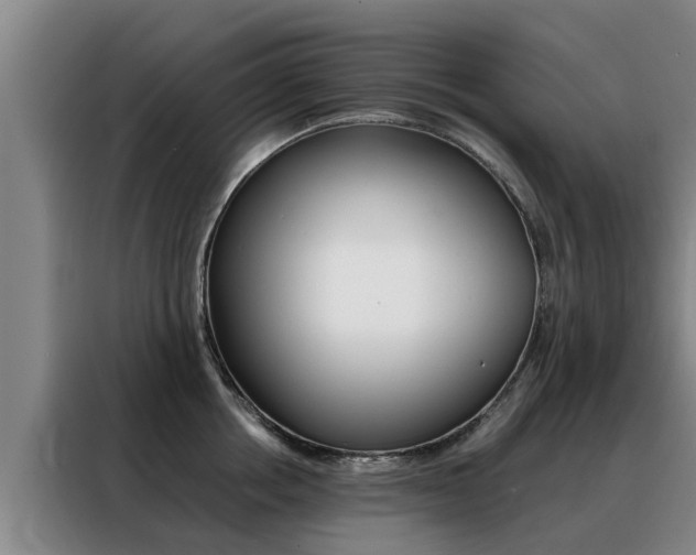 X0000088400858200705220820