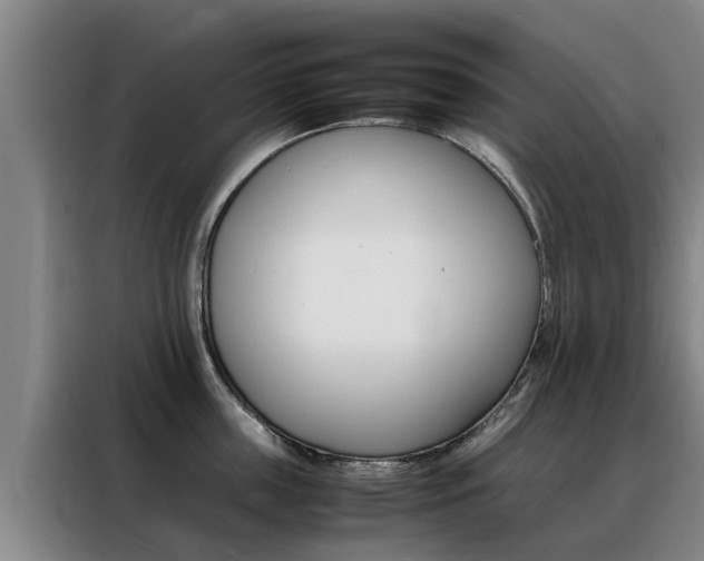 X0000088400859200705220820