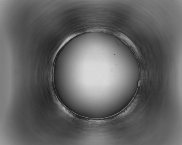 X0000088400860200705220820