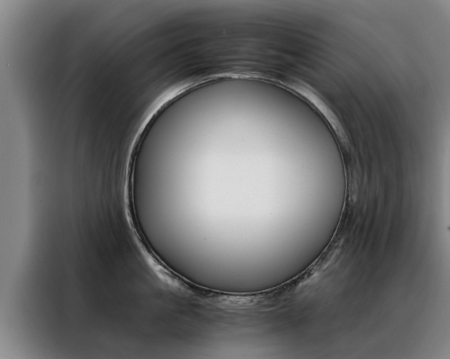 X0000088400861200705220820