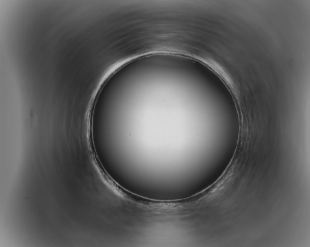 X0000088400862200705220820