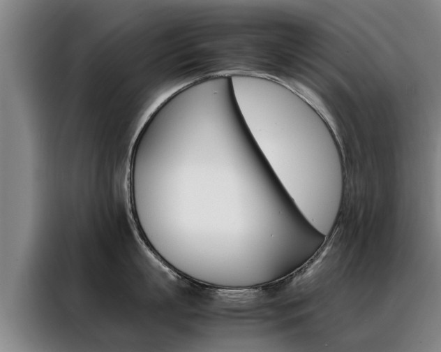 X0000088400863200705220820