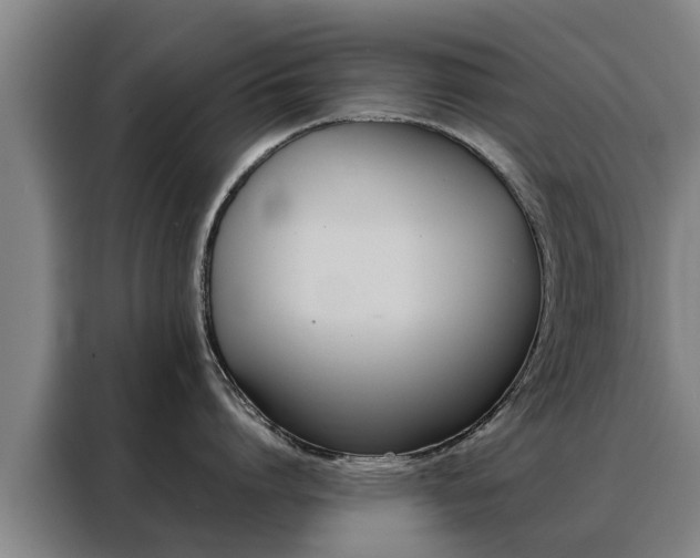 X0000088400864200705220820