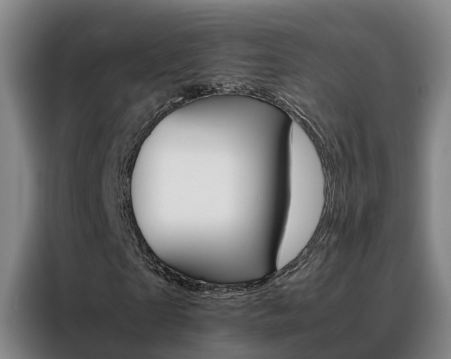 X0000088400865200705220819