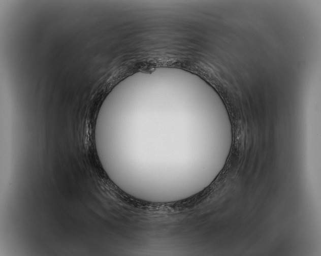 X0000088400866200705220819