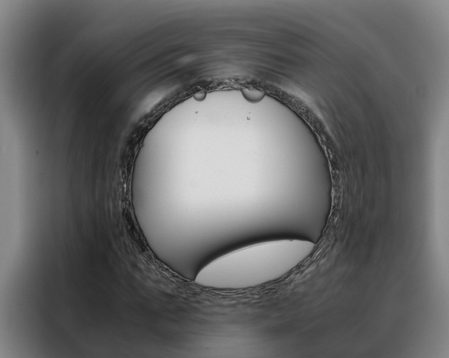 X0000088400871200705220819