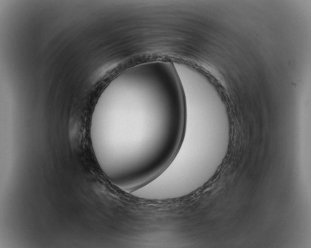 X0000088400872200705220819