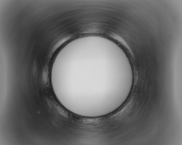 X0000088400874200705220819