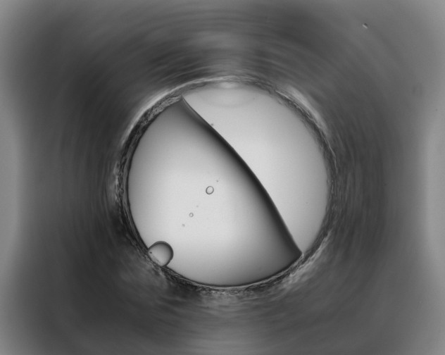X0000088400875200705220819
