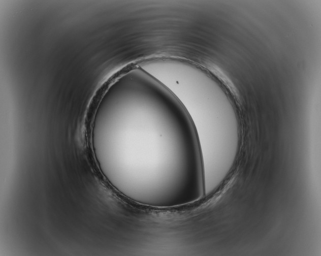 X0000088400876200705220819