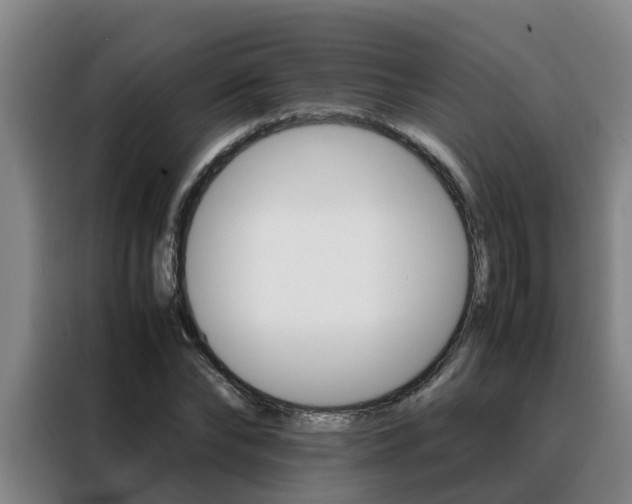 X0000088400878200705220819