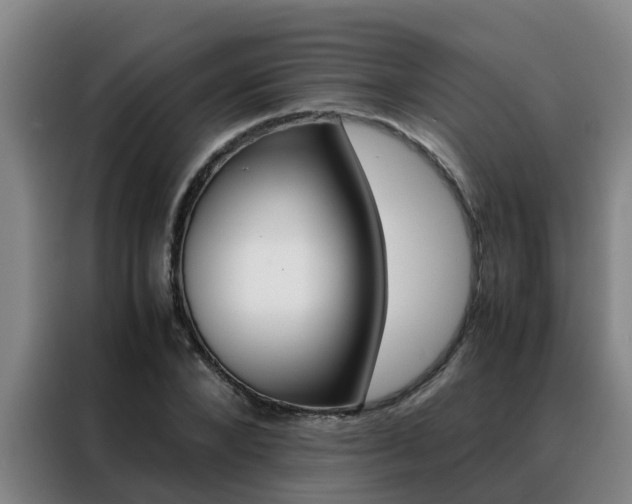 X0000088400880200705220819