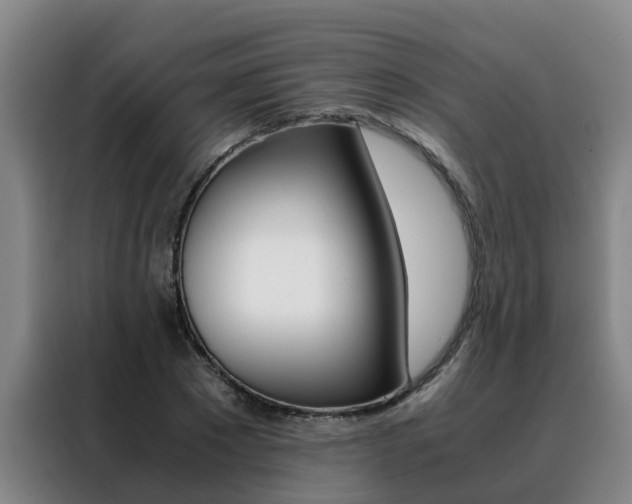 X0000088400881200705220819