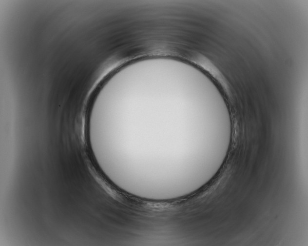 X0000088400886200705220819