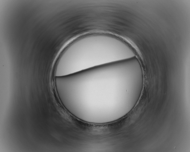 X0000088400887200705220819