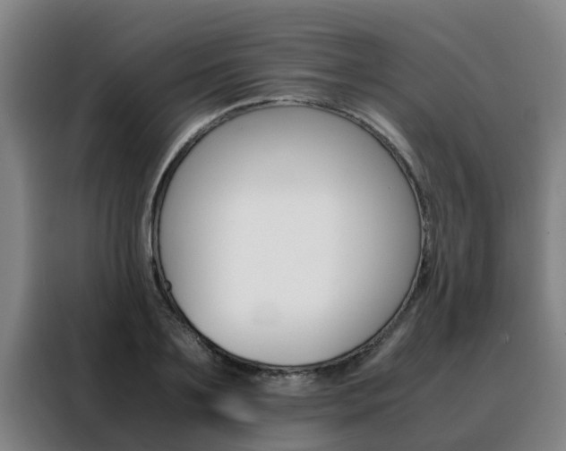X0000088400891200705220819