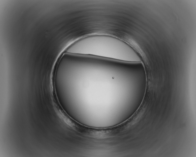 X0000088400892200705220819
