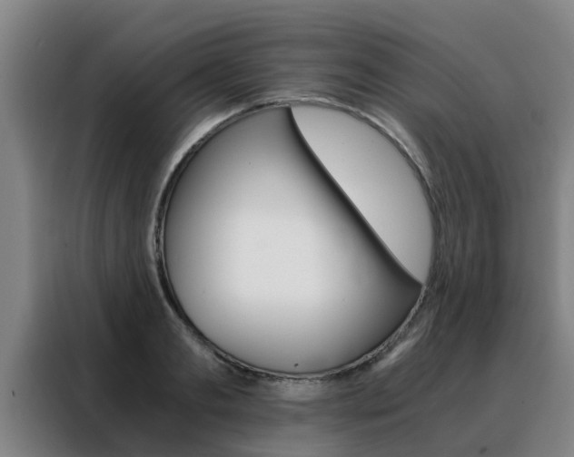 X0000088400893200705220819