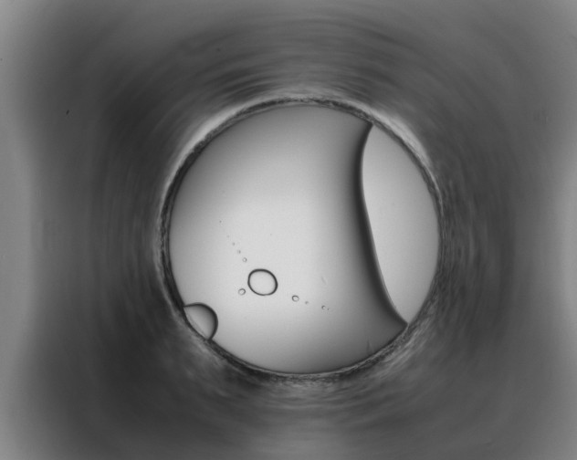 X0000088400895200705220819