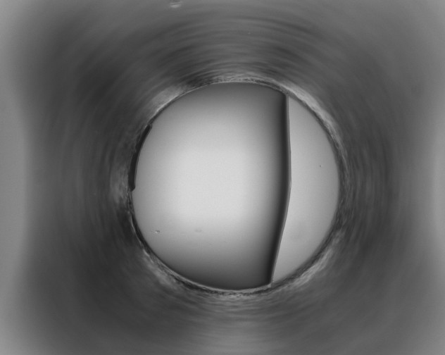 X0000088400897200705220819