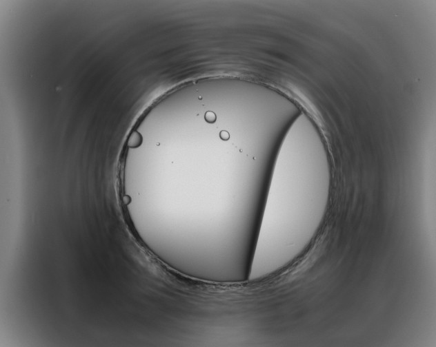 X0000088400899200705220819