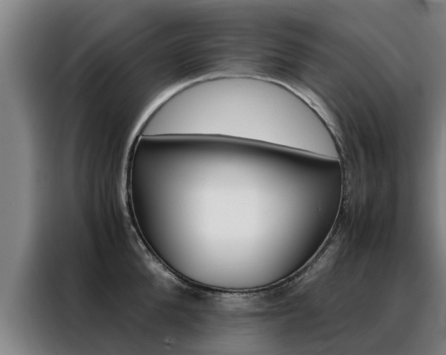 X0000088400904200705220819
