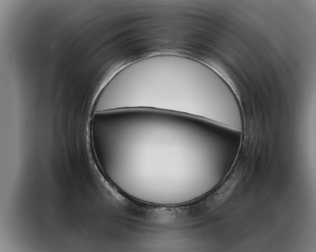 X0000088400906200705220819