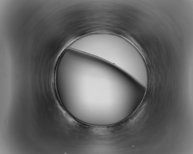X0000088400909200705220819