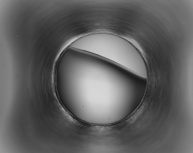 X0000088400910200705220819