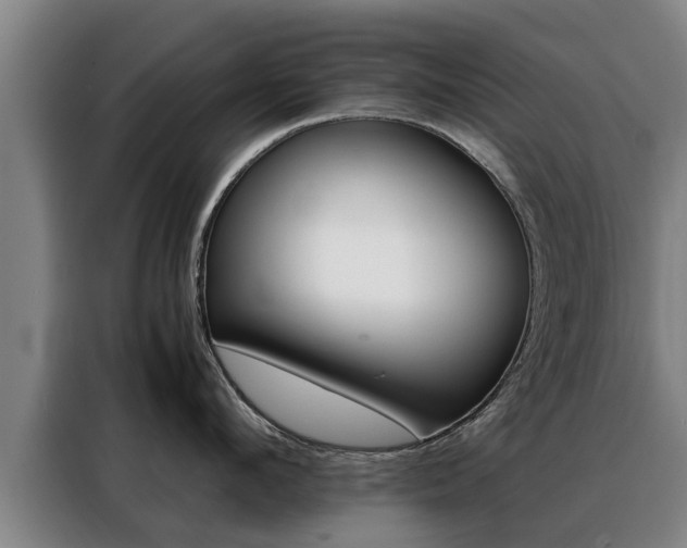 X0000088400912200705220819